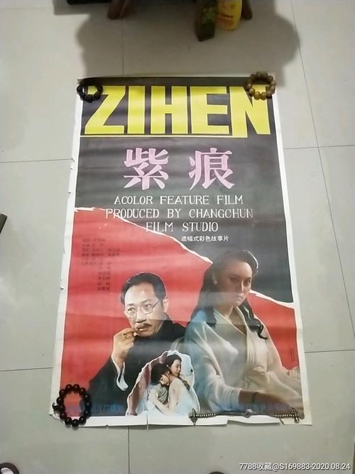 树城州立大学Economics Degree Certificate